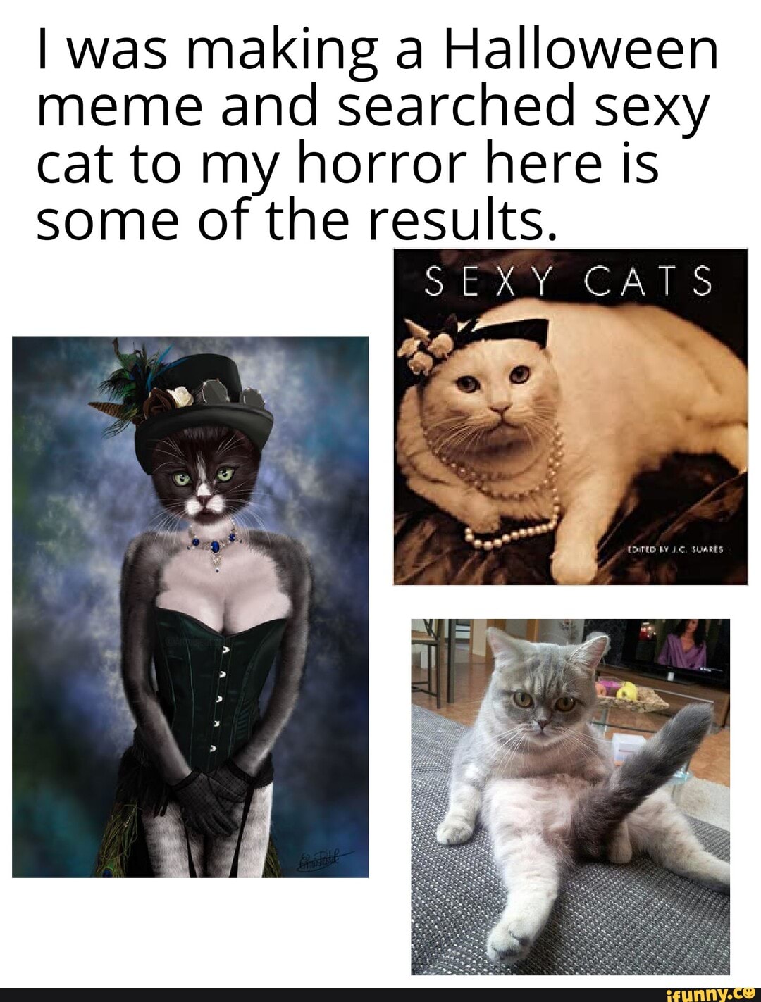 I was making a Halloween meme and searched sexy cat to my horror here is  some of the results. SEXY CAT - iFunny