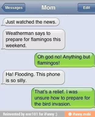 J Just watched the news.
Weathermansaysto I)
I prepare for flamingos this
weekend.
'Oh god no! Anything but
flamingos! Hal Flooding. This phone
is so silly.
That's a relief. was
unsure how to prepare for
the bird invasion.