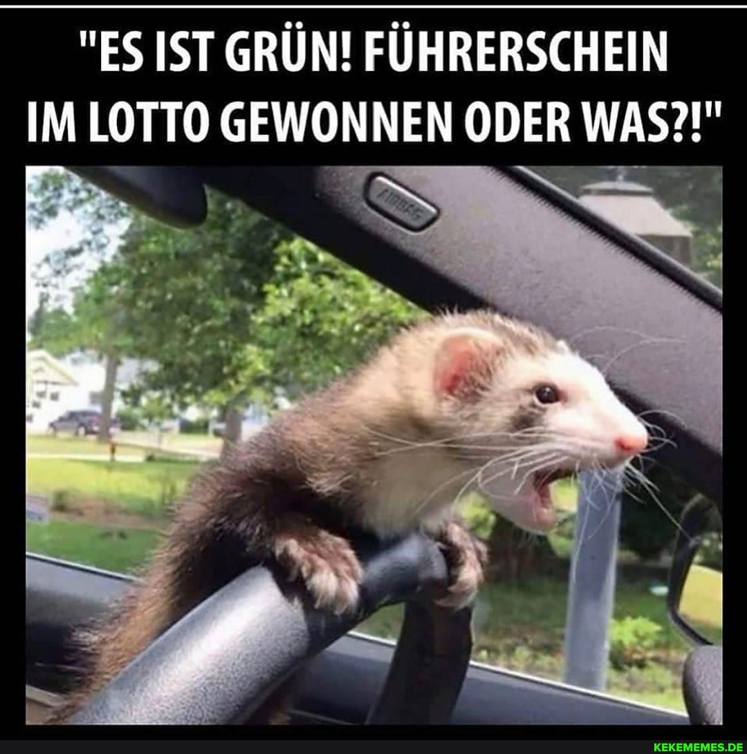 IM LOTTO GEWONNEN ODER WAS?!"