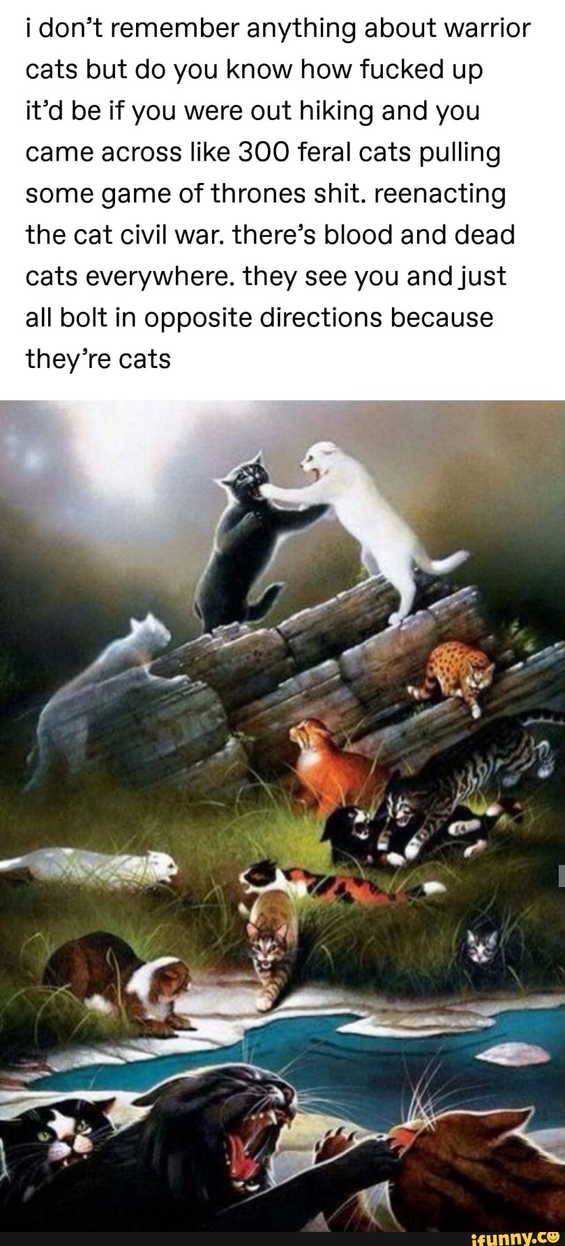 Коты Воители битва