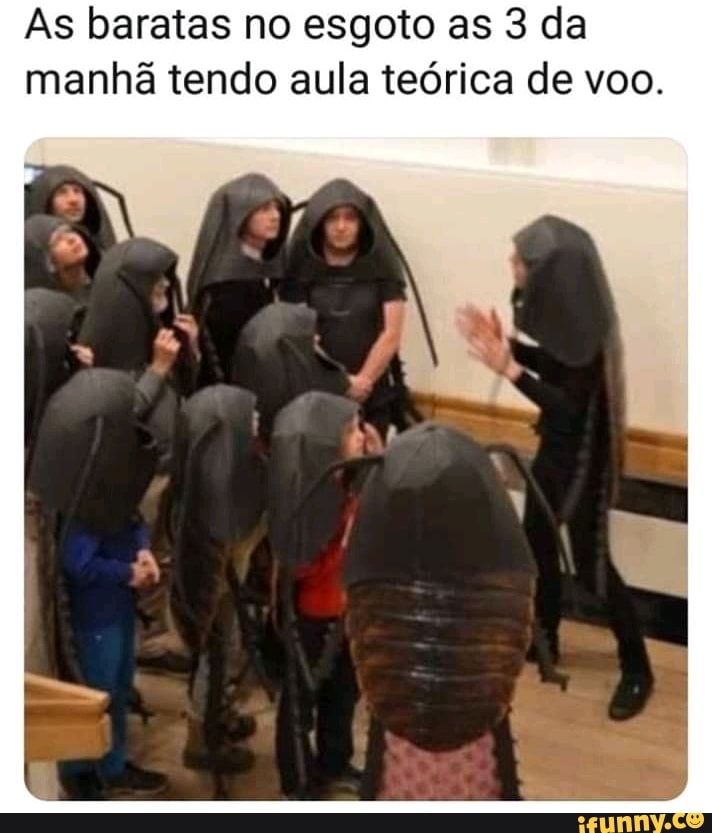 As baratas no esgoto as 3 da
manhã tendo aula teórica de voo.