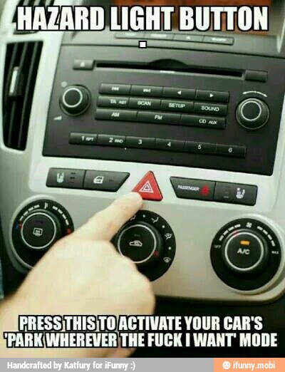 BRESSITHISITO ACTIVATE YOUR CAR'S
PARK(WHEREVERITHE FUCK I WANT MODE