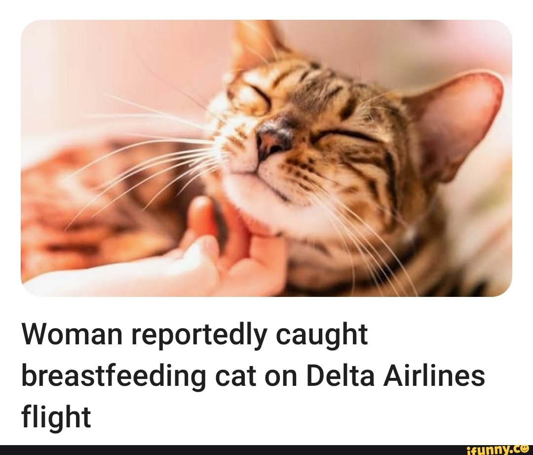 woman reportedly caught breastfeeding cat on delta airlines flight