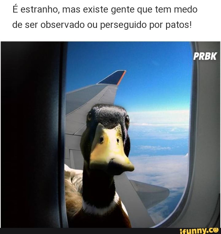 É estranho, mas existe gente que tem medo
de ser observado ou perseguido por patos!
PRBK