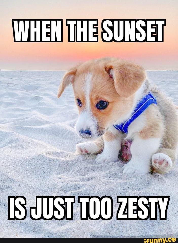 Here S A Meme I Made For The Thesunsetgang It S Almost Friday Cheers When The Sunset Is Just Zesty