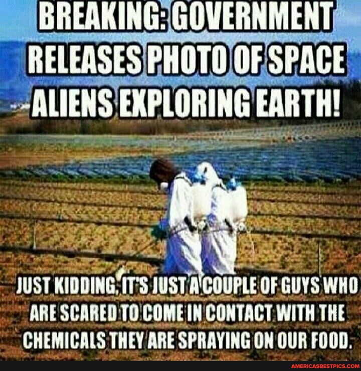 ING: GOVERNMENT RELEASES PHOTO OF SPACE ALIENS EXPLORING EARTH! JUST ...