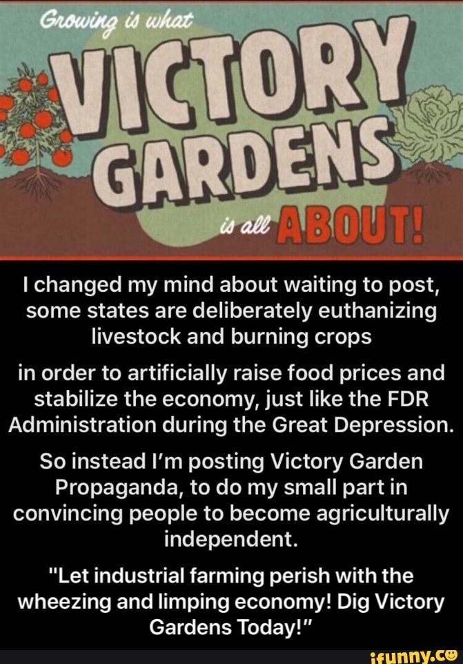 I changed my mind about waiting to post,
some states are deliberately euthanizing
livestock and burning crops
in order to artificially raise food prices and
stabilize the economy, just like the FDR
Administration during the Great Depression.
So instead I'm posting Victory Garden
Propaganda, to do my small part in
convincing people to become agriculturally
independent.
"Let industrial farming perish with the
wheezing and limping economy! Dig Victory
Gardens Today!" - "Let industrial farming perish with the wheezing and limping economy! Dig Victory Gardens Today!”