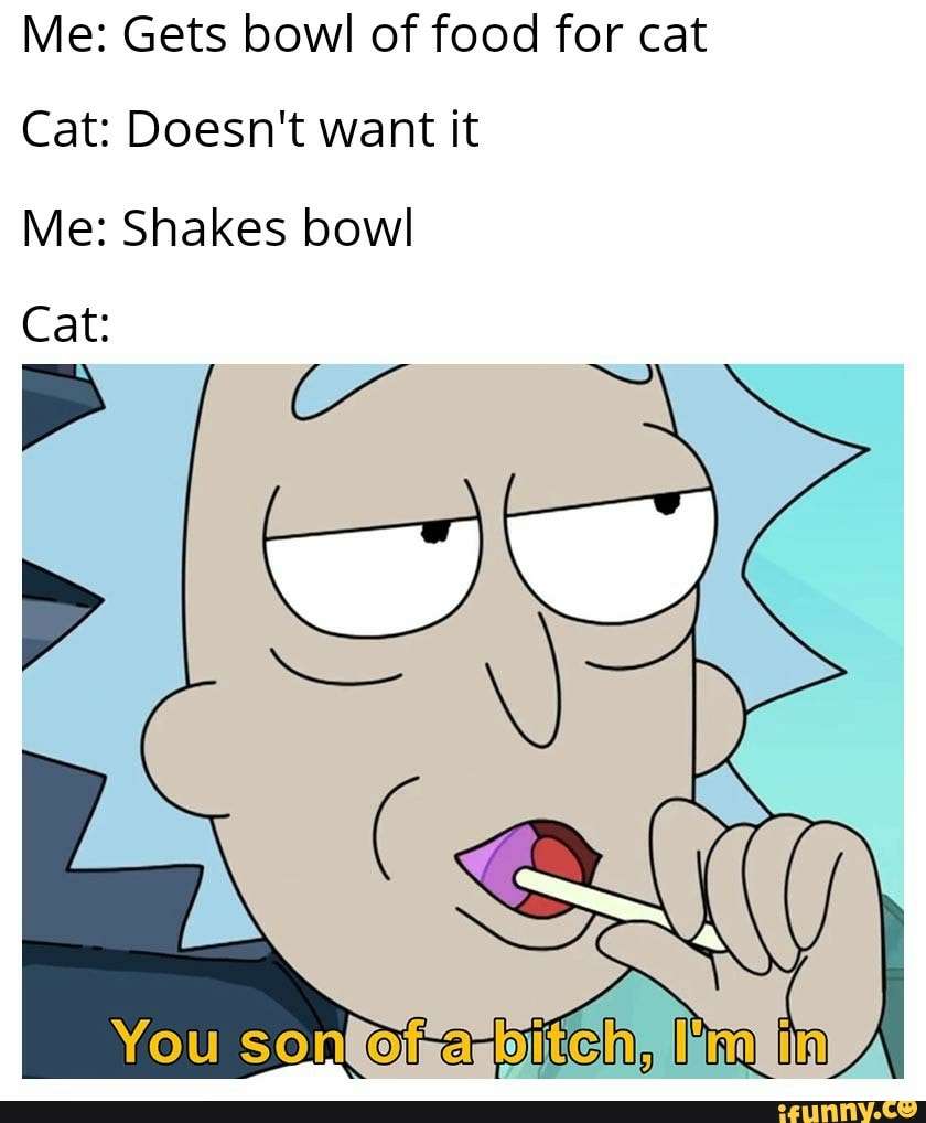 Me: Gets bowl of food for cat
Cat: Doesn't want it
Me: Shakes bowl
Cat:
You