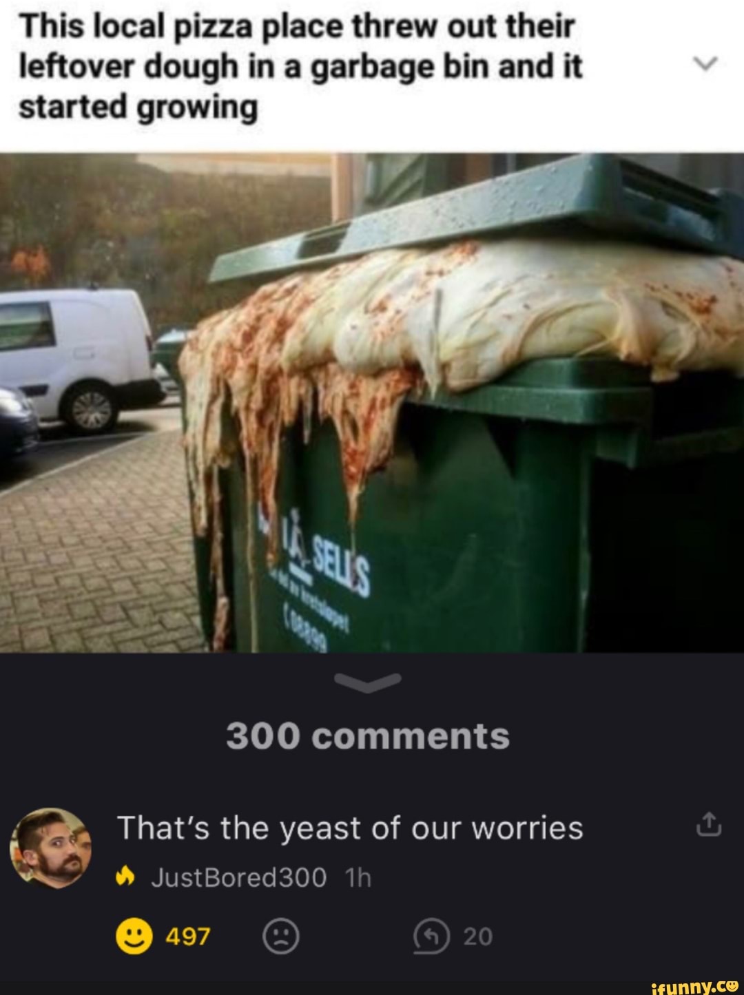 This local pizza place threw out their leftover dough in a garbage bin ...