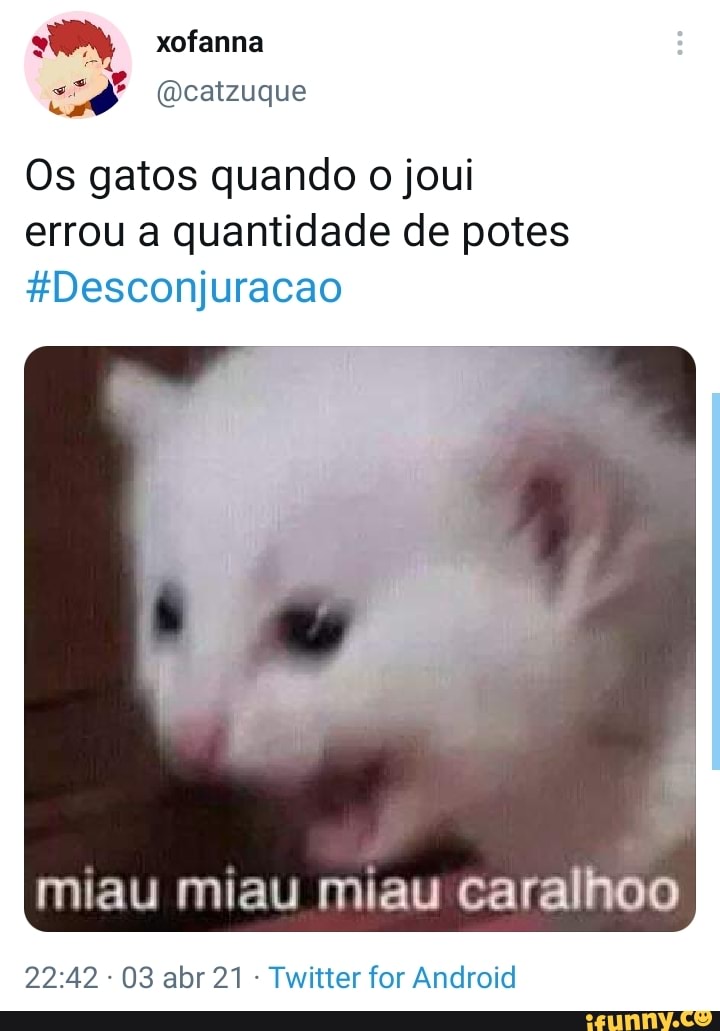 xofanna
(Dcatzuque
Os gatos quando o joui errou a quantidade de potes tDesconjuracao
miau miau miau caralhoo
03 abr 21 - Twitter for Android