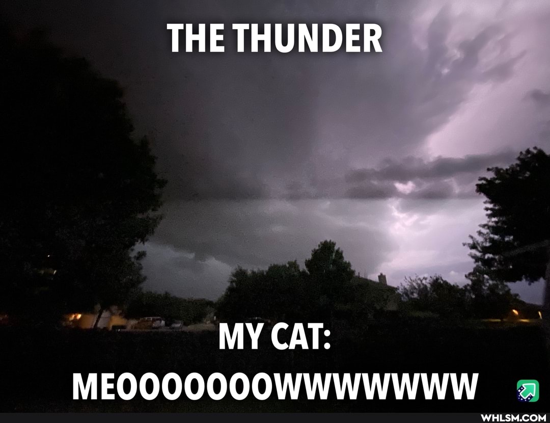 THE THUNDER
MY CAT:
MEOOOOOOOWWWWWWW