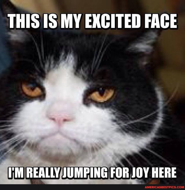THIS IS MY EXCITED FACE
I'M REALLY JUMPING FOR JOY HERE