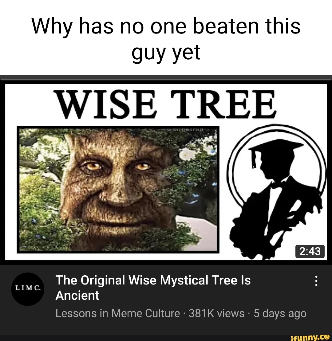 Why has no one beaten this guy yet WISE TREE The Original Wise