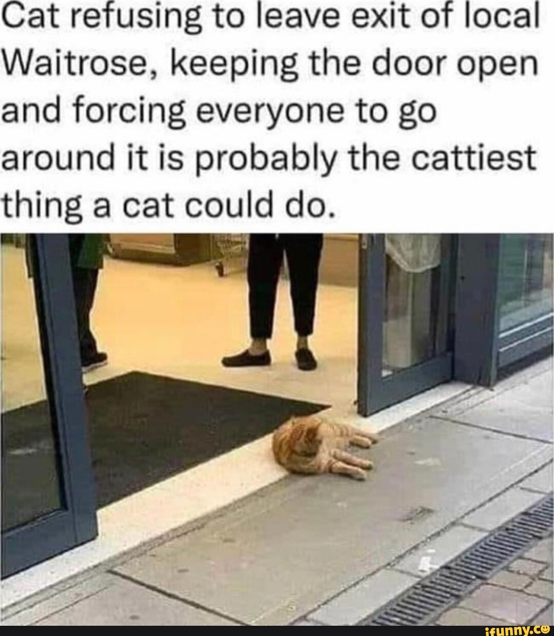 Waitrose memes. Best Collection of funny Waitrose pictures on iFunny