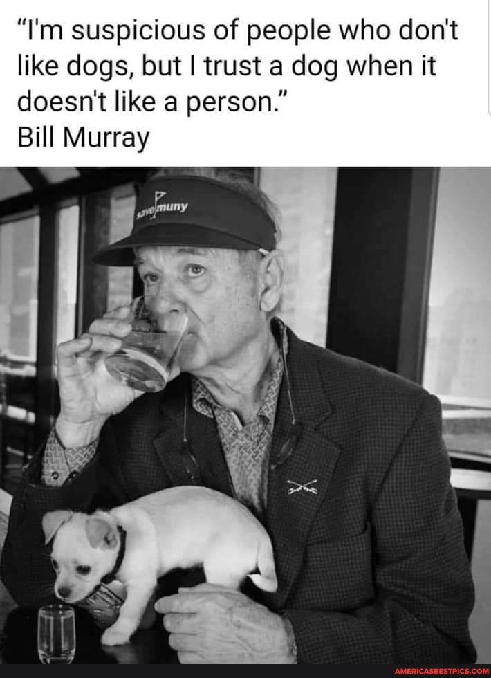 I'm Suspicious Of People Who Don't Like Dogs, But I Trust A Dog When It Doesn't Like A Person." Bill Murray - America's Best Pics And Videos