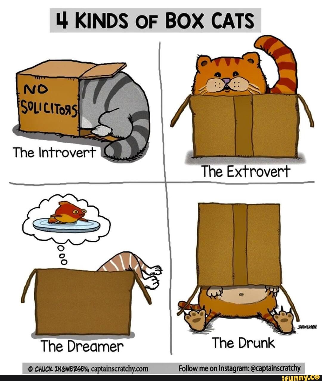 Cat Transcendence Meme - Litterbox Comics