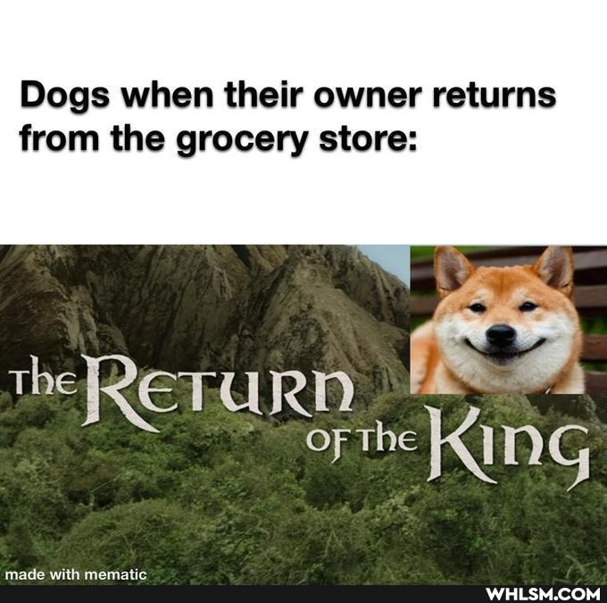 Dogs when their owner returns
from the grocery store:
the RETURN
or The ING