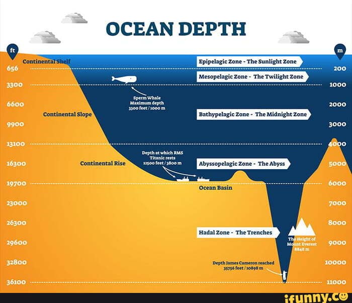 OCEAN DEPTH Epipelagic Zone - The Sunlight Zone 'Mesopelagic Zone - The ...