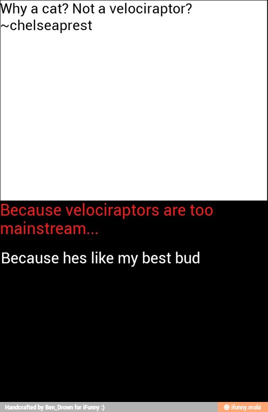 hy a cat? Not a velociraptor?
~chelseaprest
Because hes like my best bud