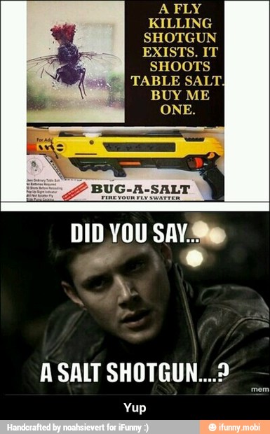 A FLY
KILLING
SHOTGUN
EXISTS. IT
DID YOU SAY: - Yup