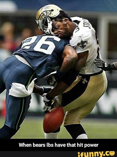 When bears Ibs have that hit power - When bears lbs have that hit power