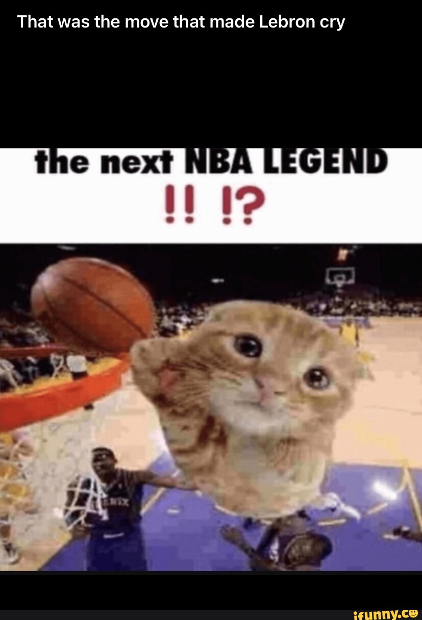 That Was The Move That Made Lebron Cry Ifunny That Was The Move That Made Lebron Cry Ifunny