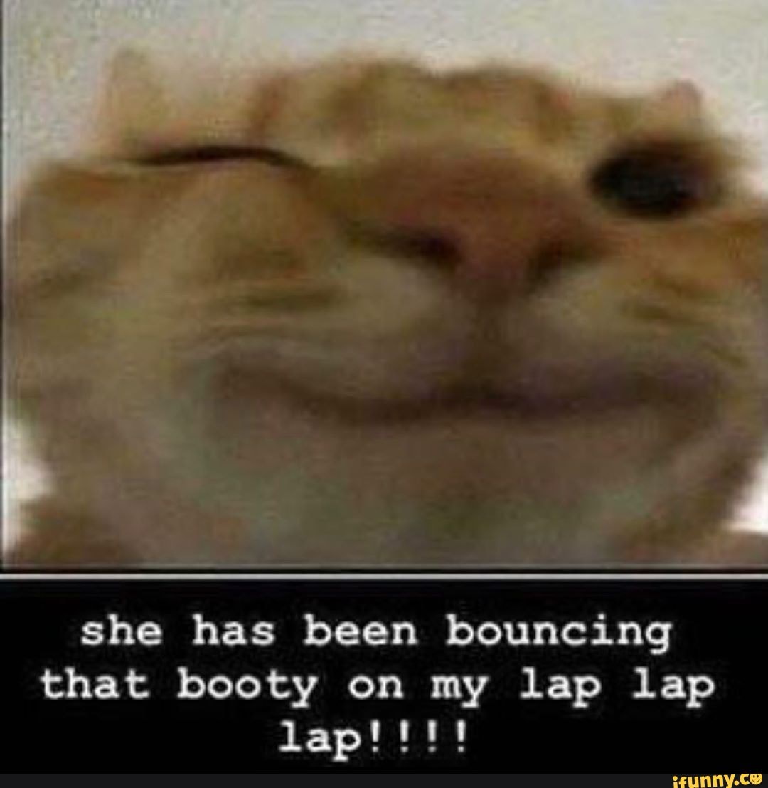 Swgcat/swag cat meme r/KnowYourMeme