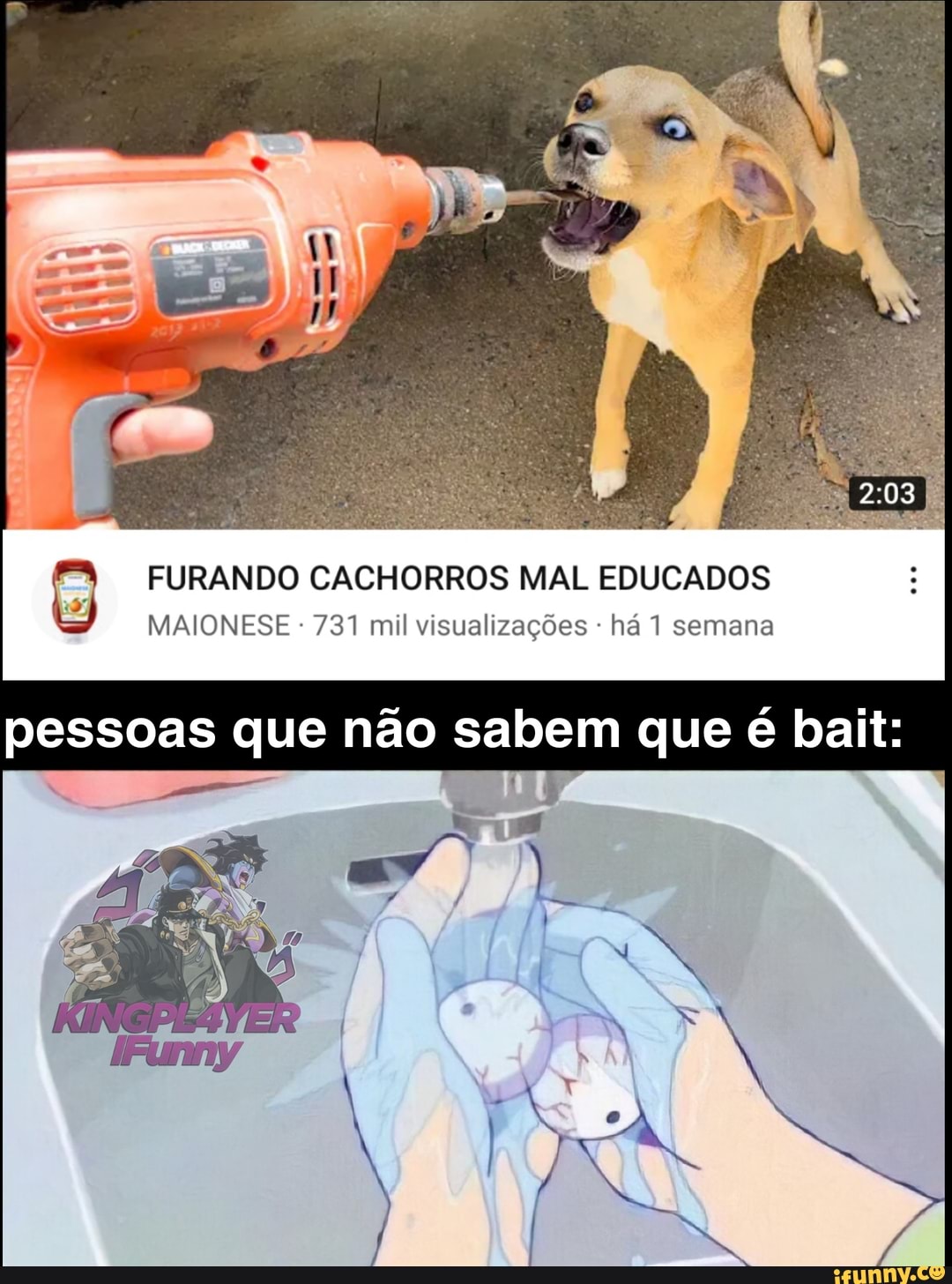 FURANDO CACHORROS MAL EDUCADOS MAIONESE 731 mil visualizações - há semana
pessoas que não sabem que é bait: