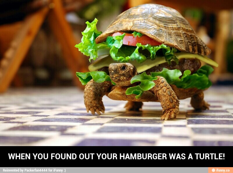 When you found out your hamburger was a turtle! 