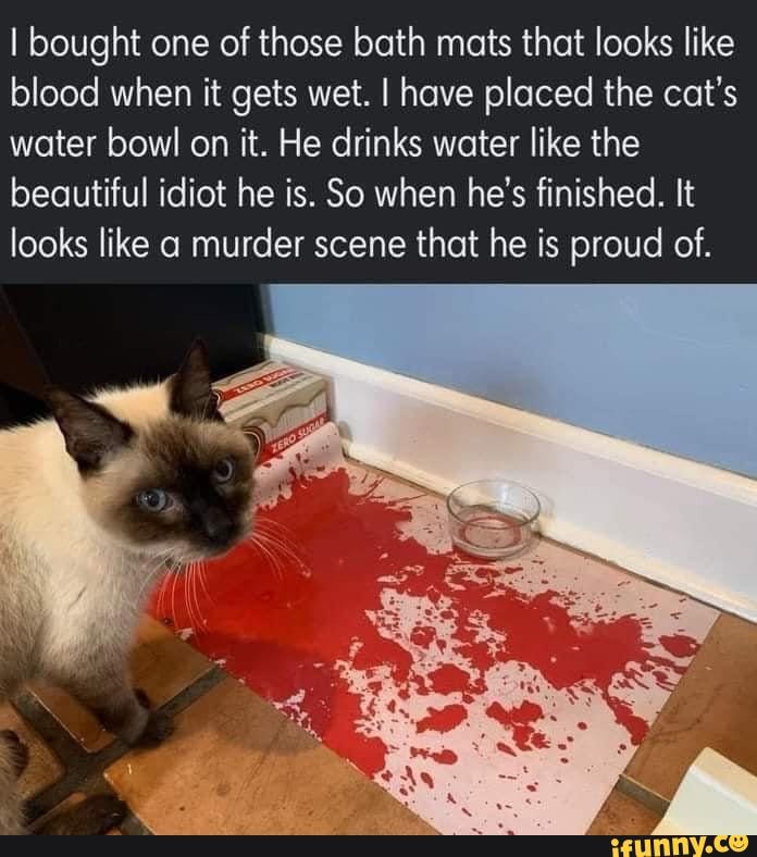 I bought one of those bath mats that looks like blood when it gets wet