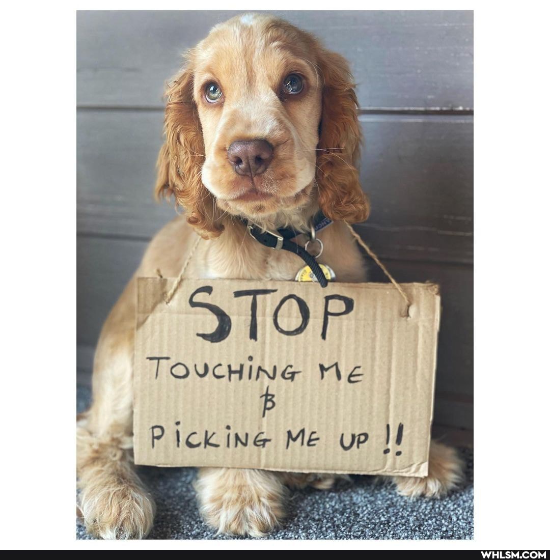TOUCHING Me
Pickine Me up