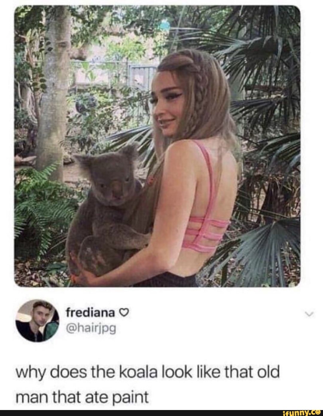 Frediana why does the koala look like that old man that ate paint )