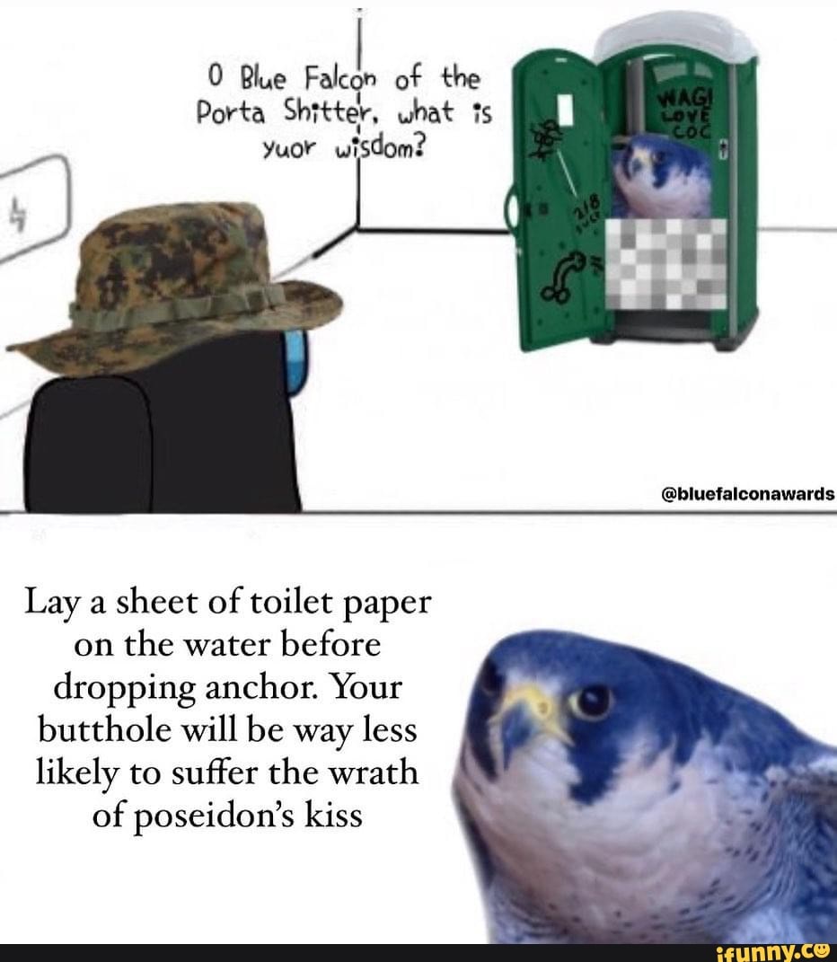 Blue Falcon of the Porta Shitter, what ts yuor wisdom ...