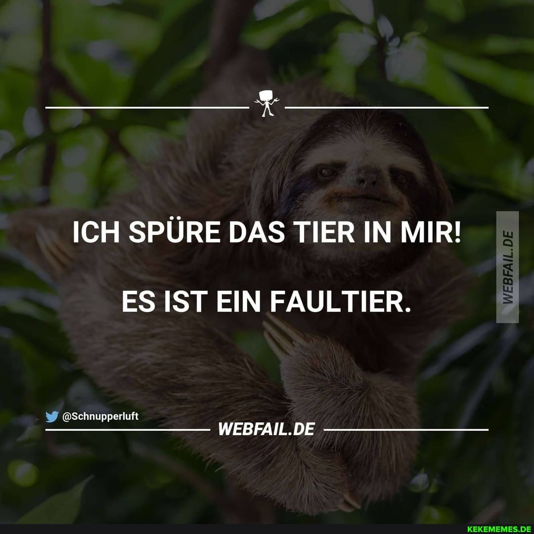 ICH SPÜRE DAS TIER IN MIR!
ES IST EIN FAULTIER.
@Schnupperluft
WEBFAIL.DE