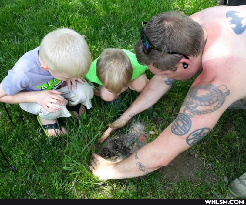 mildly_interesting, nature, baby_animals