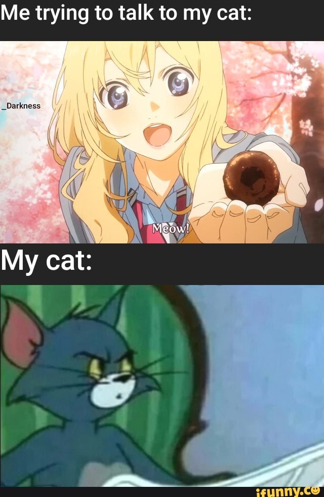 Me trying to talk to my cat: