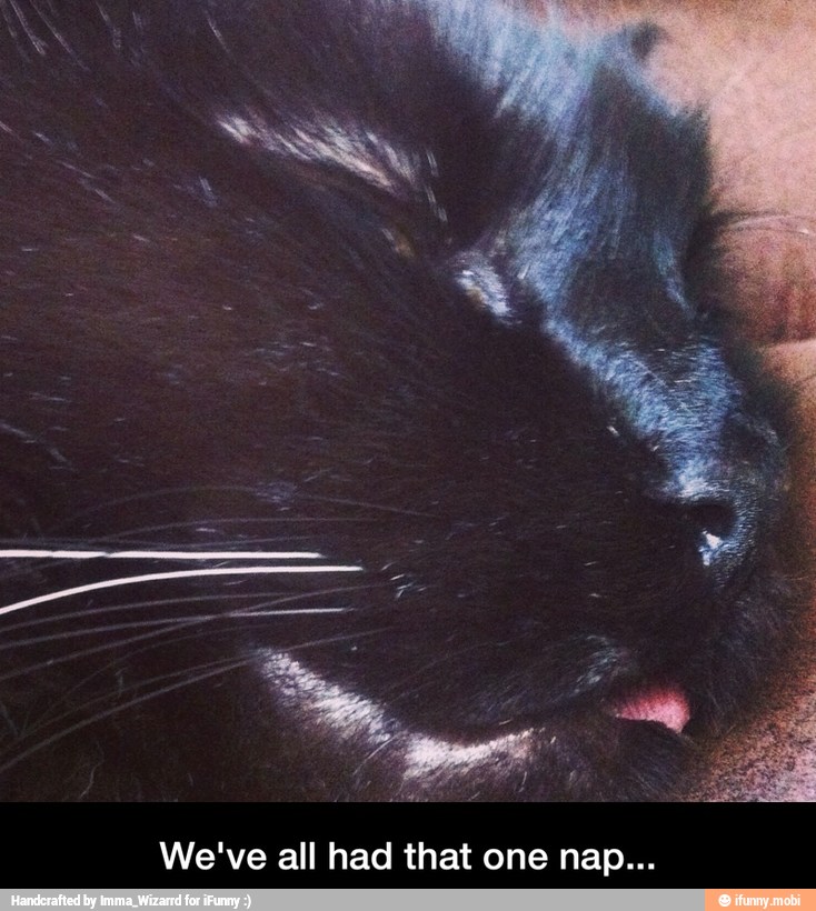 We've all had that one nap... - We've all had that one nap...