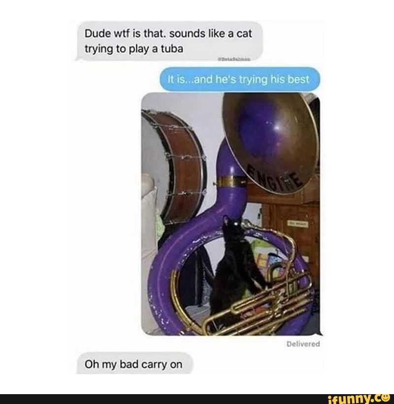 Dude wtf is that. sounds like a cat
trying to play a tuba
Oh my bad carry on