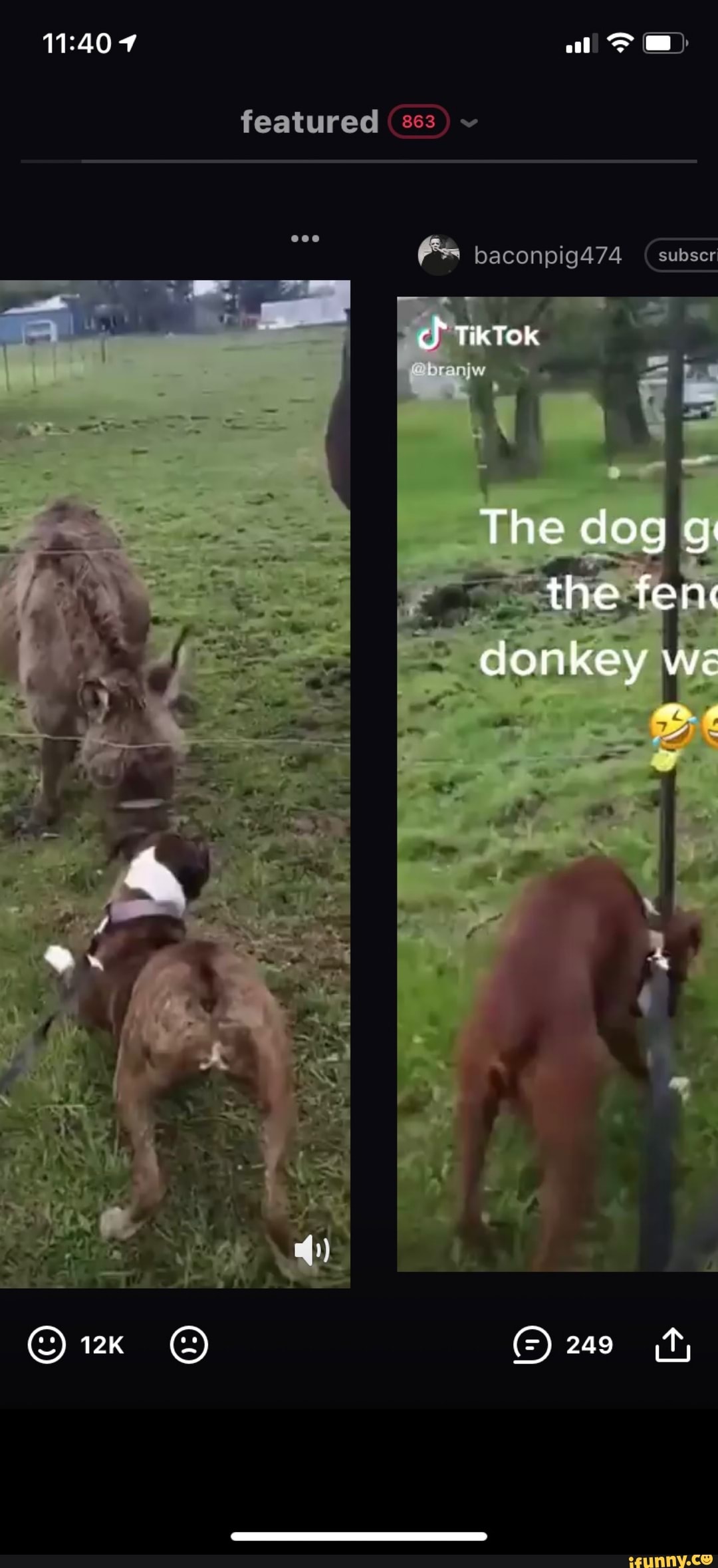 featured
baconpig474 subser
TikTok
branjw
The dog g the fen donkey we
249