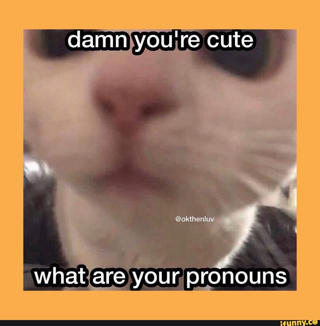 Damn You Re Cute What Are Your Pronouns