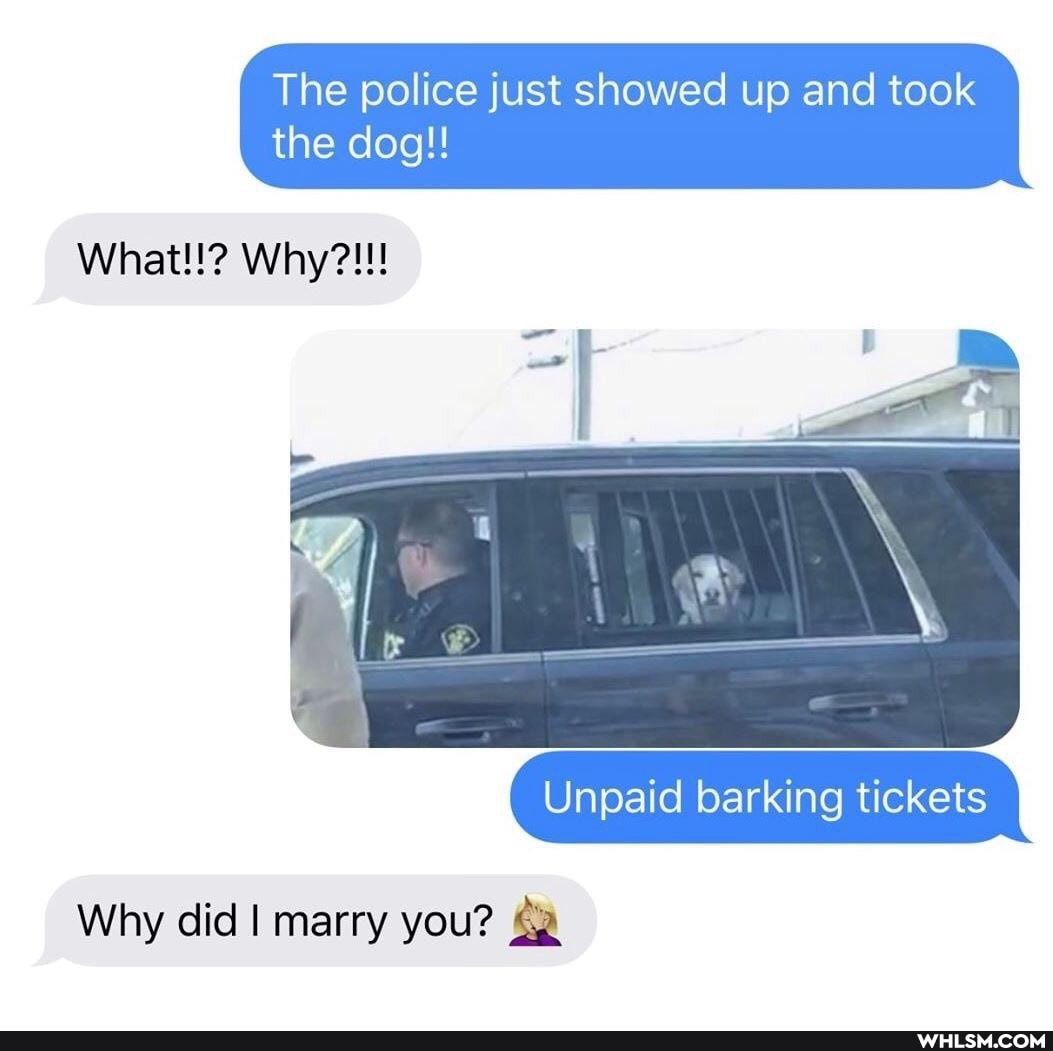 The police just showed up and took the dog!!
What!!? Why?!
Unpaid barking tickets
Why did I marry you?