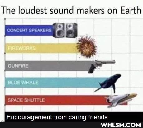 The loudest sound makers on Earth
CONSENT SREANERS
SPACE