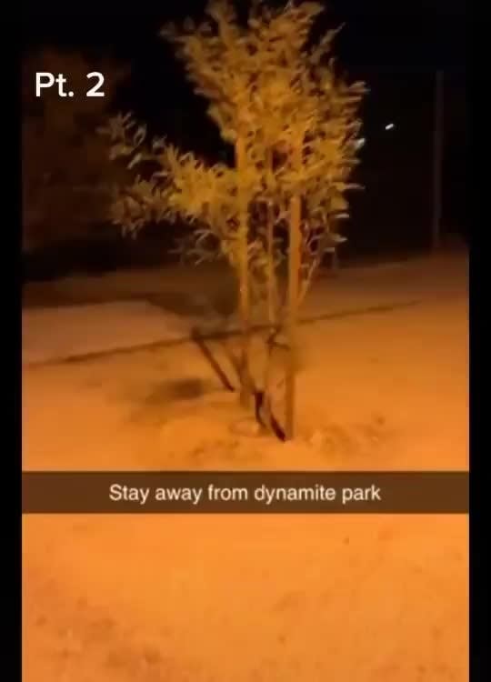 dynamite park
