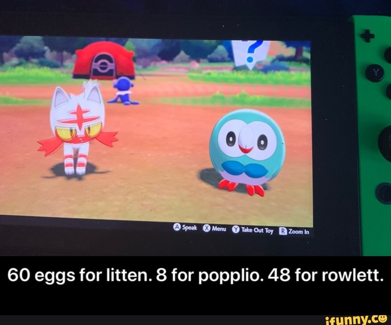 60 Eggs For Litten 8 For Popplio 48 For Rowlett 60 Eggs For Litten 8 For Popplio 48 For 6991