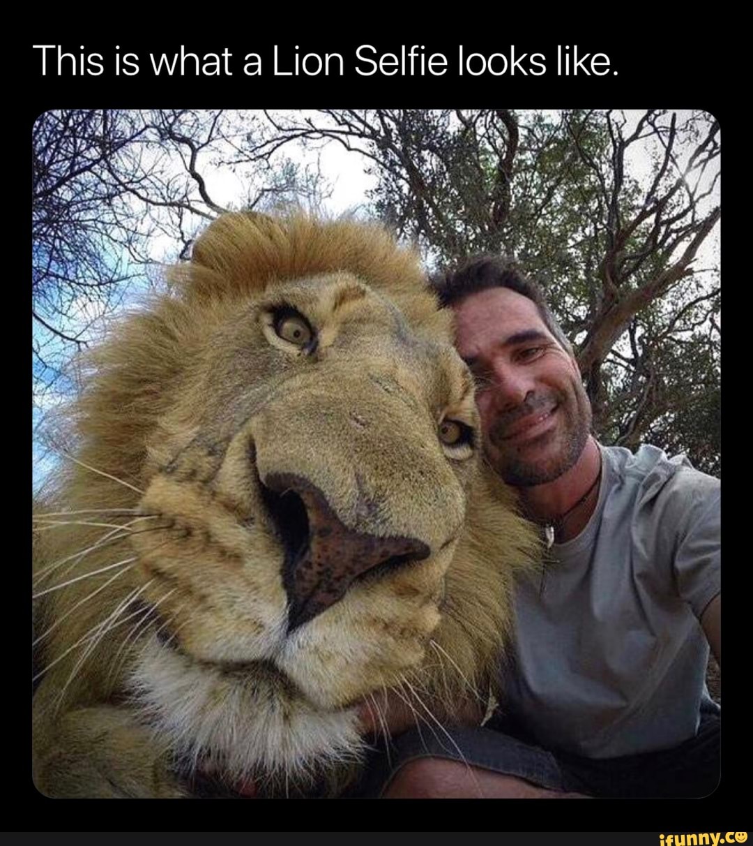 Лев настоящий мужчина. Кевин Ричардсон и львы. Кевин Ричардсон и его друзья: львы, гиены, леопарды. Гигантский Лев. Человек Лев