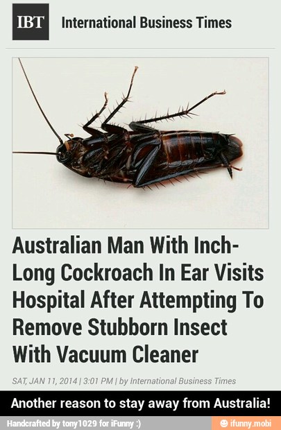 International Business Times
Australian Man With Inch-
Long Cockroach In Ear Visits
Hospital After Attempting To
Remove Stubborn Insect
With Vacuum Cleaner
Another reason to stay away from Australia! - Another reason to stay away from Australia!