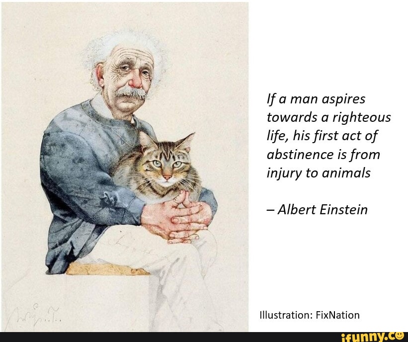Albert Einstein memes memes. The best memes on iFunny
