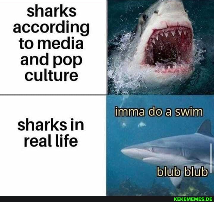 sharks according to media and pop culture
imma doa swim in real life
blub blub