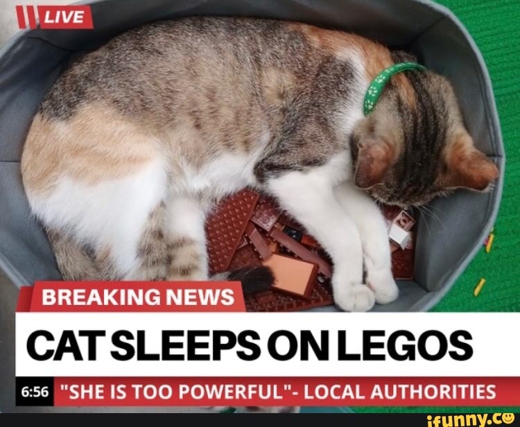 A
NEWS
CAT SLEEPS ON
LEGOS
6:56 "SHE IS TOO POWERFUL"- LOCAL AUTHORITIES