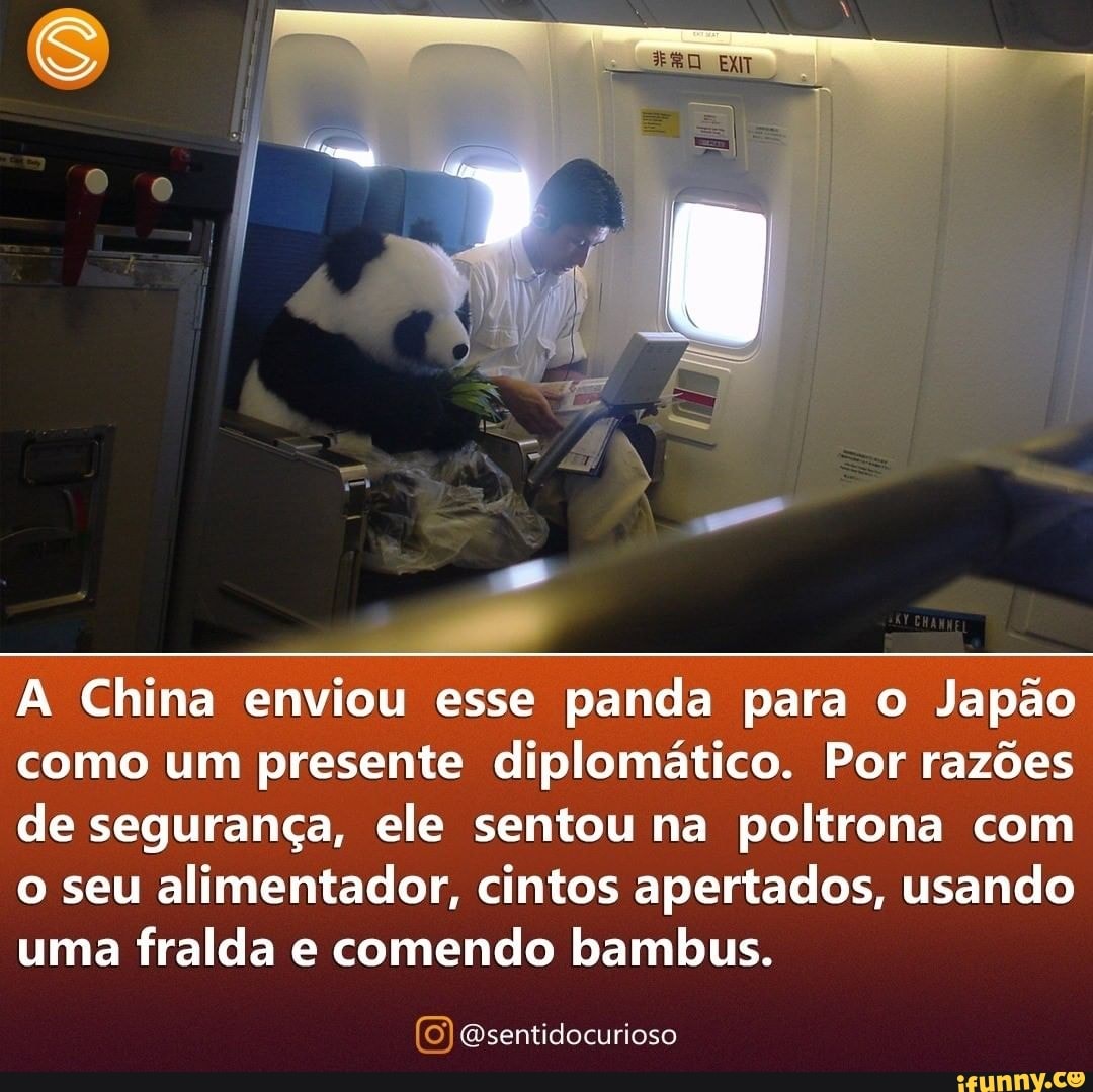 A China enviou esse panda para o Japão como um presente diplomático. Por razões de segurança, ele sentou na poltrona com o seu alimentador, cintos apertados, usando uma fralda e comendo bambus.
Qsentidocurioso